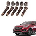 Enhance your car with Hyundai Santa Fe Wheel Stud & Nuts 