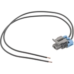 Order BLUE STREAK (HYGRADE MOTOR) - S578 - A/C Compressor Clutch Relay Connector For Your Vehicle