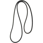 Order CONTINENTAL - 17561 - Serpentine Belt - Automotive V-Belt For Your Vehicle