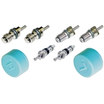 Order GLOBAL PARTS DISTRIBUTORS - 1311684 - Air Conditioning Service Valve Core For Your Vehicle