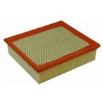 Order Air Filter by ECOGARD - XA5192 For Your Vehicle