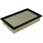 Order Air Filter by ECOGARD - XA5418 For Your Vehicle