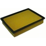 Order Air Filter by ECOGARD - XA6122 For Your Vehicle