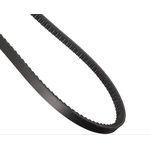 Order CONTINENTAL - 15466 - Accessory Drive Belt - Automotive V-Belt For Your Vehicle