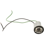 Order BWD AUTOMOTIVE - PT48 - Parking Light Bulb Socket For Your Vehicle