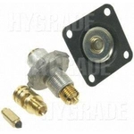 Order Carburetor Kit by BLUE STREAK (HYGRADE MOTOR) - 1557A For Your Vehicle