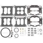 Order Carburetor Kit by BLUE STREAK (HYGRADE MOTOR) - 224D For Your Vehicle