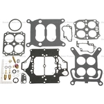 Order Carburetor Kit by BLUE STREAK (HYGRADE MOTOR) - 229B For Your Vehicle