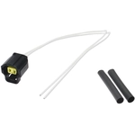 Order BWD AUTOMOTIVE - PT5955 - Engine Coolant Temperature Sensor Connector For Your Vehicle