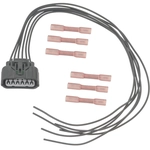 Order BLUE STREAK (HYGRADE MOTOR) - S2814 - Accelerator Pedal Sensor Connector For Your Vehicle