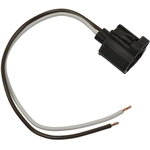 Order BWD AUTOMOTIVE - PT5784 - Engine Crankshaft Position Sensor Connector For Your Vehicle