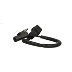 Order STANDARD - PRO SERIES - PC169 - Engine Crankshaft Position Sensor For Your Vehicle