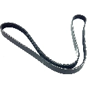 Order Alternator Belt by CONTINENTAL - 10X935 For Your Vehicle