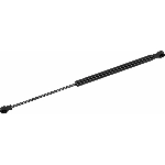 Order STRONG ARM - D6490L -  Liftgate Lift Support For Your Vehicle