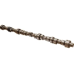 Order New Camshaft by ACDELCO - 12629512 For Your Vehicle