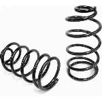 Order Rear Coil Springs by LESJOFORS - 4492517 For Your Vehicle