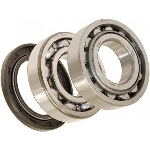 Order Rear Outer Bearing Set by NATIONAL BEARINGS - A71 For Your Vehicle