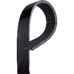 Order Serpentine Belt by BLACKBELT - K060955 For Your Vehicle