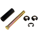 Order DORMAN - 38439 - Door Hinge Pin And Bushing Kit For Your Vehicle