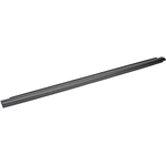 Order DORMAN - 25861 - Door Belt Molding For Your Vehicle