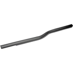 Order DORMAN - 25872 - Door Belt Molding For Your Vehicle