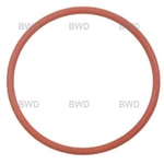 Order BWD AUTOMOTIVE - EVG178 - EGR Valve Mounting Gasket For Your Vehicle