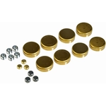 Order DORMAN - 567-001 - Expansion Plug Kit (Block Parts) For Your Vehicle