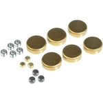 Order DORMAN - 567-011 - Expansion Plug Kit (Block Parts) For Your Vehicle