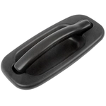 Order DORMAN - 80579 -  Exterior Door Handle For Your Vehicle