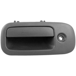 Order DORMAN - 88199 - Exterior Door Handle For Your Vehicle