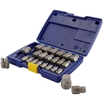 Order IRWIN - 53227 - Screw Extractor Set, Hex Head, Multi-Spline, 25-Piece For Your Vehicle