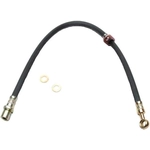 Order Front Brake Hose by RAYBESTOS - BH381352 For Your Vehicle