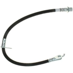 Purchase RAYBESTOS - BH382884 - Front Brake Hose