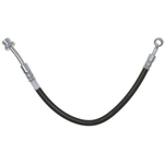 Purchase RAYBESTOS - BH383071 - Front Brake Hose