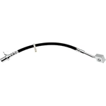 Purchase RAYBESTOS - BH383299 - Front Brake Hose