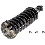 Order Front Complete Strut Assembly by EVOLUTION - V171103 For Your Vehicle