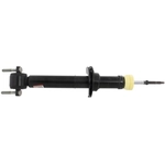 Order MOTORCRAFT - AST86018 - Strut For Your Vehicle