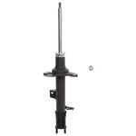 Order PRT - 474863 - Suspension Strut For Your Vehicle