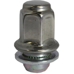 Order FMSI AUTOMOTIVE HARDWARE - 3872-25 - Wheel Lug Nut For Your Vehicle