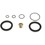 Order BLUE STREAK (HYGRADE MOTOR) - PHS1 - Fuel Filter Primer Housing Seal Kit For Your Vehicle