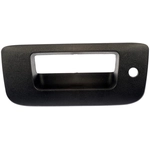 Order DORMAN - 80122 - Tailgate Handle Bezel For Your Vehicle