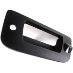 Order DORMAN - 82030 - Tailgate Handle Bezel For Your Vehicle