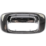 Order DORMAN - 91134 - Tailgate Handle Bezel For Your Vehicle