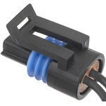 Order BWD AUTOMOTIVE - PT191 - Engine Oil Temperature Sensor Connector For Your Vehicle