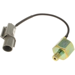 Order STANDARD - PRO SERIES - KS170 - Ignition Knock Sensor For Your Vehicle