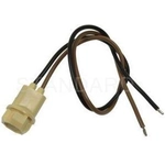 Order Lamp Socket by BLUE STREAK (HYGRADE MOTOR) - S100 For Your Vehicle