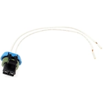 Order BLUE STREAK (HYGRADE MOTOR) - S689 - Accelerator Pedal Position Sensor Connector For Your Vehicle