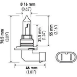 Order Low Beam Headlight by HELLA - 9005-100W For Your Vehicle