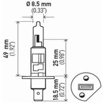 Order Low Beam Headlight by HELLA - H1-2.0TB For Your Vehicle