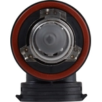 Order Low Beam Headlight by PHILIPS - H11PRB1 For Your Vehicle